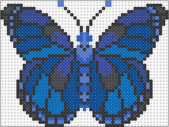 Black and blue butterfly - blue