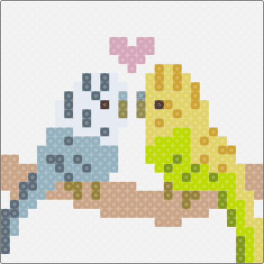 Budgigar pair - white,yellow,beige,light blue,colorful