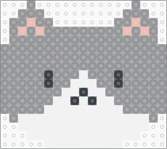Cat - gray