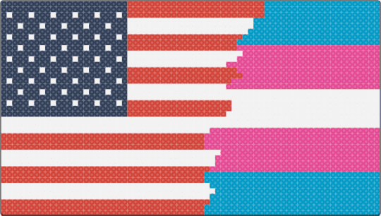 Trans America - red,pink,trans,usa,no kings,transgender,america,patriotism,fdt,flag