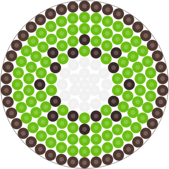 Kawada Perler Kiwi Slice (Circle Pegboard) - brown, food, fruit, green, small