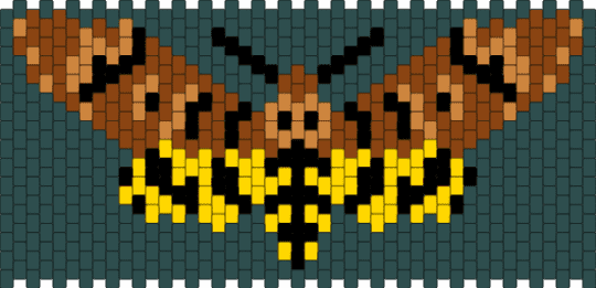 Moth - gray