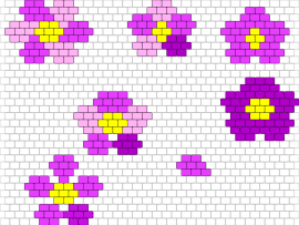 Flower experiments - flowers,floral,springtime,experiments,varying designs,pink,purple