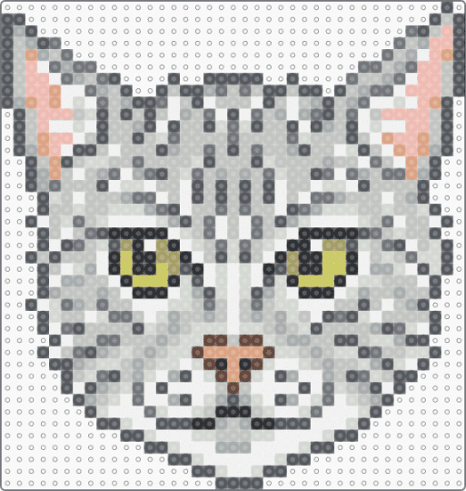 Silver Tabby Cat Template - gray,beige,cat,template,silver,tabby,silver tabby