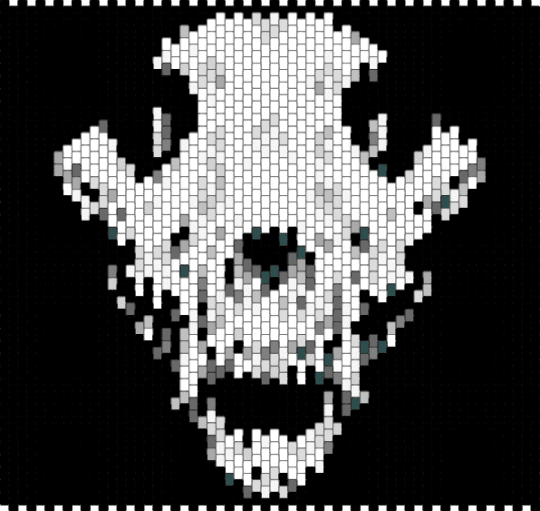 skulls