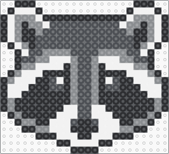 Raccoon - gray,white