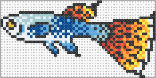 Koi Guppy - orange,blue,light blue