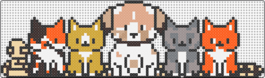 all animals - animals,dog,cats,pets,cute,animal,creature,mammal,pet,beige,orange