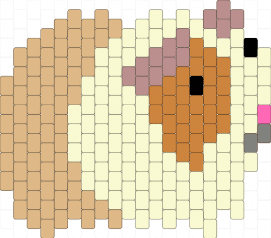 G-pig - guinea pig,animal,white,beige,orange