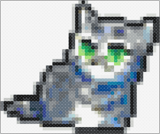 Silverkit - flameclan