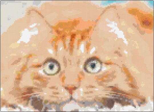 Cat fluff - 