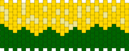 Corn - corn,field,cuff,yellow,green
