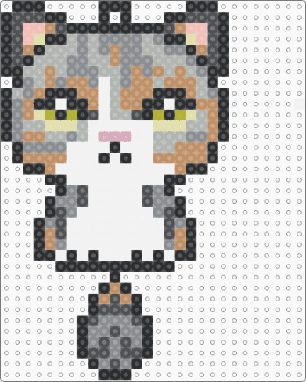 Cat - tan,beige,gray
