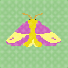 Mothi boi - moth,butterfly,nature,serene,insect,wildlife,delicate,wings,symmetrical,lavender,yellow