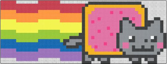 Big nyan cat - pink,gray,orange