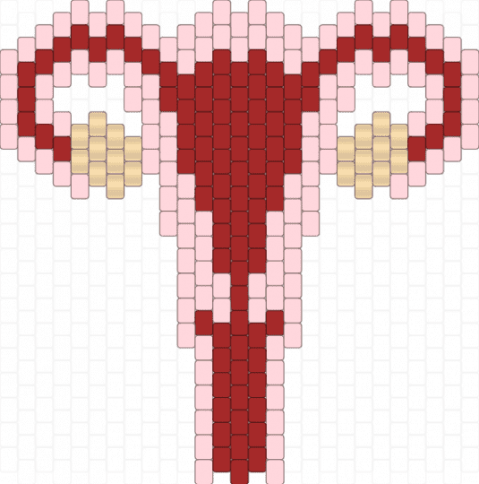 Uterus - red,uterus,women,woman,girl,organ