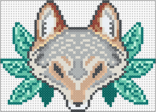 Mexican Grey Wolf Head - 