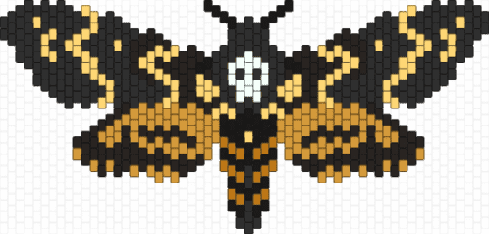 Death's Head Hawk-Moth - moth,animal,halloween,spooky,black,yellow,orange,death head moth,deaths head,skull,insect,skull moth