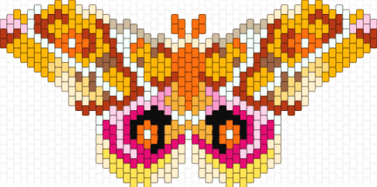Madagascar Bullseye Moth - orange,pink,red,madagascar bullseye moth,moth,yellow,insect