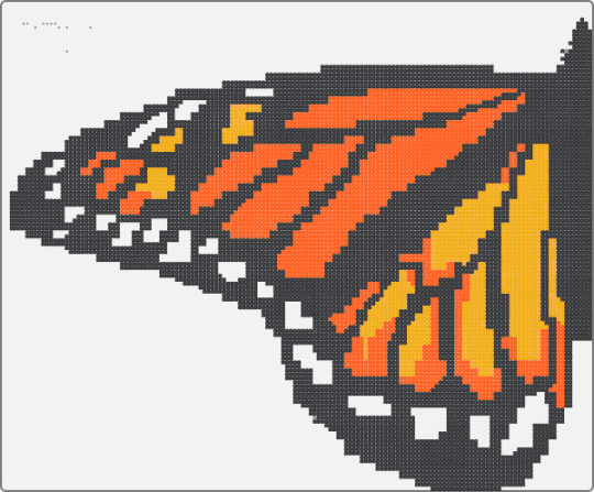 butterfly - white,orange