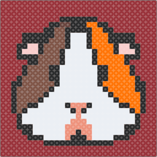 Guinea Pig - red