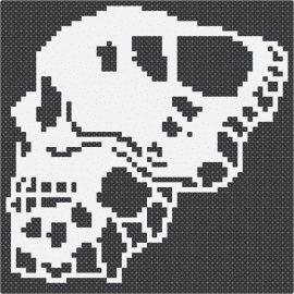 morph skull - skull,skeleton,moth,butterfly,spooky,gothic,eerie,black,white