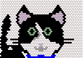 Beatle kitty - cat,kitten,animal,feline,whiskers,green eyes,playful,black and white