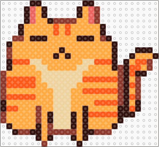 fat cat - fat,orange,cat,cute,easy,animal