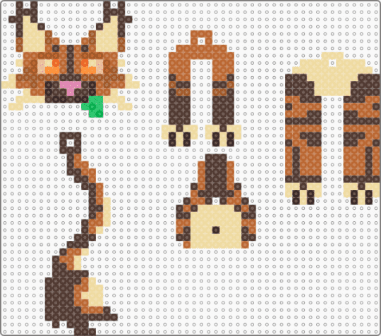 warrior cats