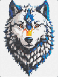 wolf 1 - wolf,animal,arctic,icy gaze,wintry,bold contrasts,blue,orange,white,black