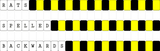 Rats spelled backwards - white,yellow,single