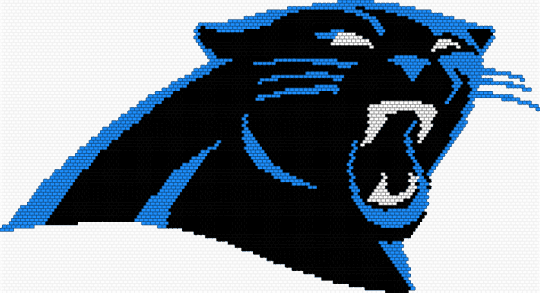 Carolina Panthers Peyote - black,light blue,nfl,football,sports,cat,panther,panthers,carolina,team