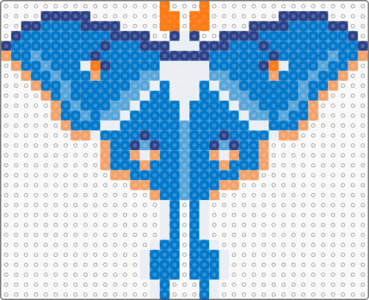 Bluena Moth - blue,moth,insect,bug,orange