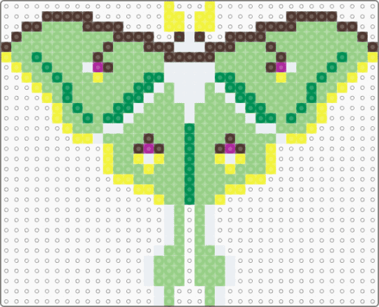 Luna Moth Perler - teal,insect,bug,moth,luna moth,perler,seafoam
