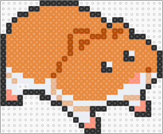 golden hamster with full cheeks - orange,white,hamster,pet