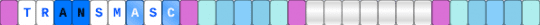 Transmasc Single - light blue