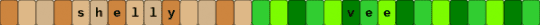shellyvision - green