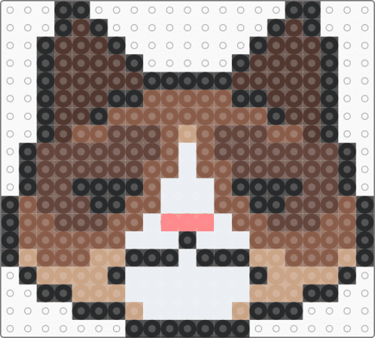 grumpy cat - tan,brown,cat,kitty,grumpy cat,grumpy