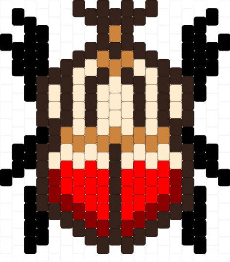 Goliath beetle - brown