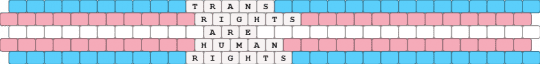SAY IT AGAIN FOR THE PEOPLE IN THE BACK!!! - lgbtq, lgbtqia, light blue, pink, pride, trans, transgender, transrightsarehumanrights