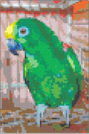 Carol Bird 2 - bird,parakeet,parrot,animal,vibrant green,yellow,plumage,bird lovers,crafters