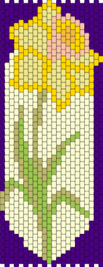 Narcissus (remix) - yellow,purple