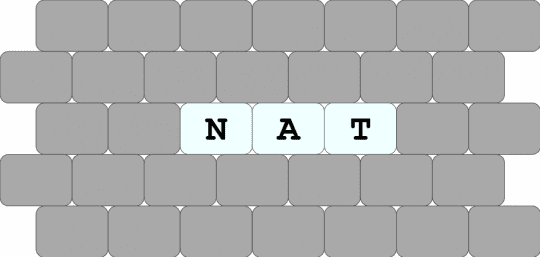 puppy collar name tag (2/2) - beige