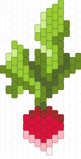 radish - cotdvegetables, green