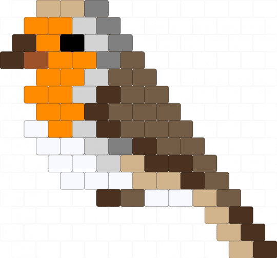 Rotkehlchen Robin - beige,orange,brown,tan,robin,bird,cute