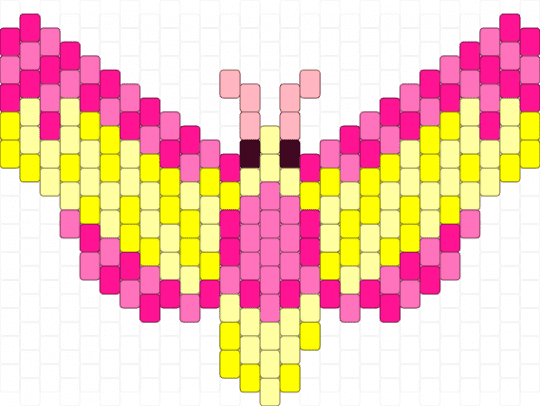 Small rosy maple moth - pink,yellow