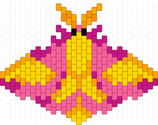 Rosy Maple Moth - pink,moth,rosy maple