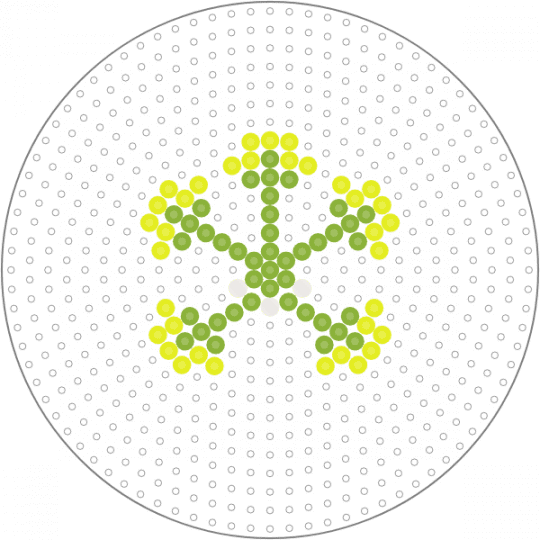 3D Passion Flower