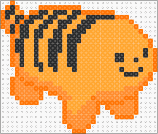 silly tiger - orange