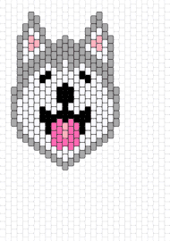 Lobo blanco - wolf,dog,cute,animal,wild,friendly,joyful,face,white,gray